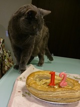titan-12cake