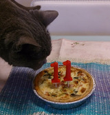 cake2