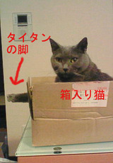 hako