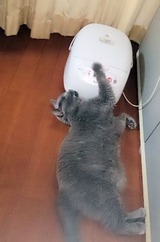 炊飯器