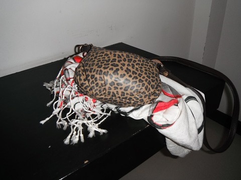 バッグとストール