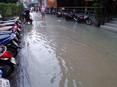 ソイハニーイン