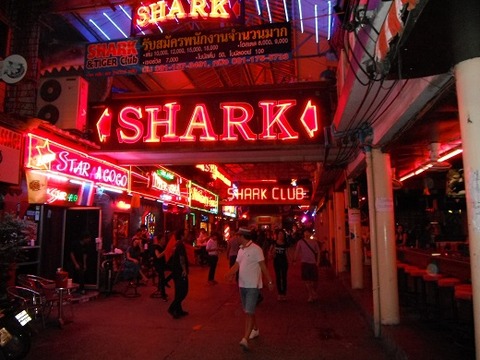 ソイダイヤモンド