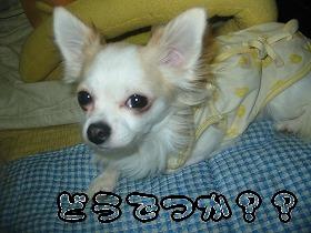 ��