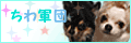 jp.Tpge.com