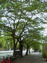 gaien02