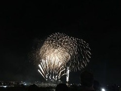 IMG-3353