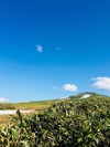 IMG-2444