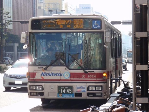 P3130450
