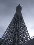 IMG_20150104_094947