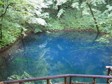RIMG0684