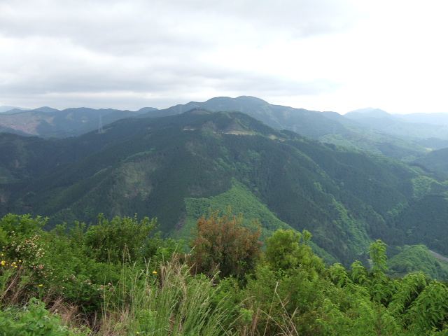 0f08f451.JPG