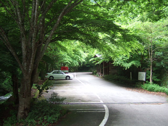 1f50d9aa.JPG