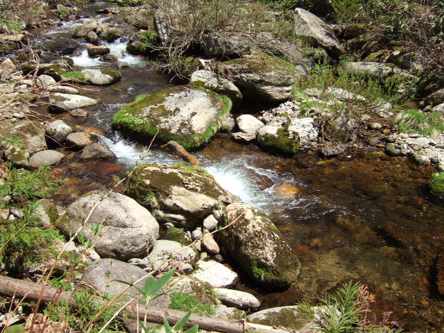 34d0448f.JPG