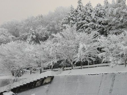 2009_0101_000000-P1010008