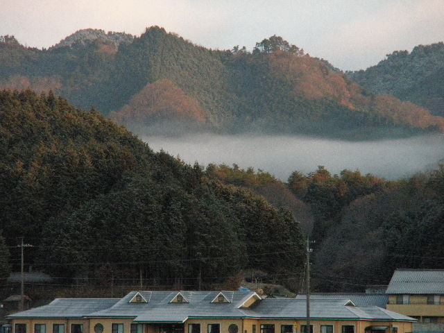 12月24日裏山風景 003