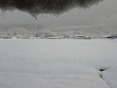 2009_0101_000000-P1010004