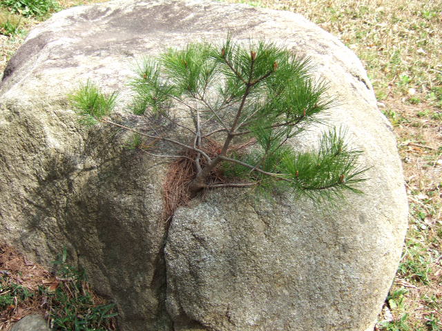 d11a0218.JPG