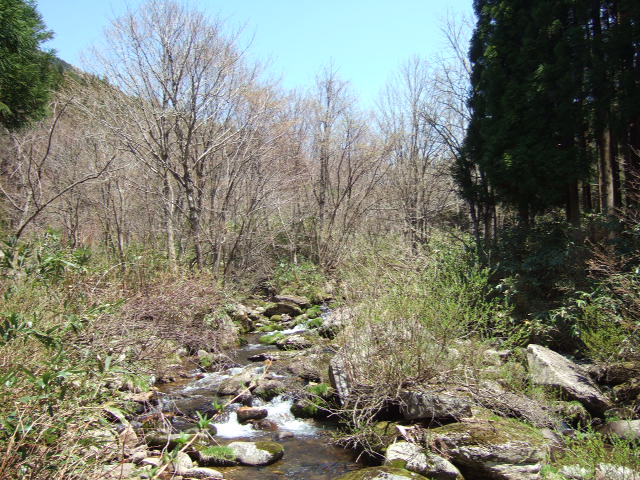 f6923ff2.JPG