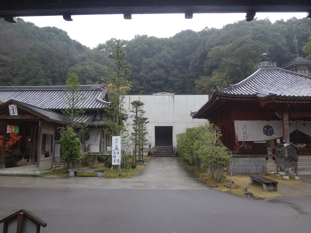 DSC05653