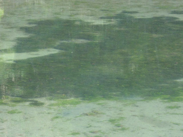 DSC07210