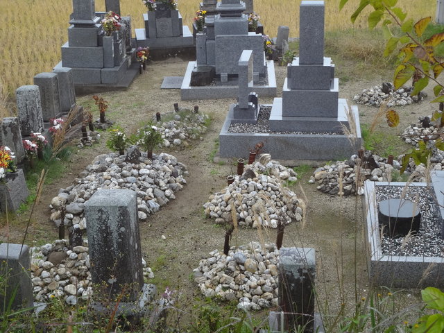 DSC05656