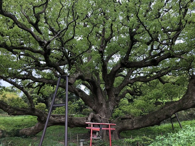 両墓制と他界観 両墓制と他界観 - 株式会社 吉川弘文館 歴史学を中心とする