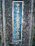 7dc69973.jpg