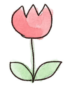 tulip