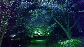 20150331_211742