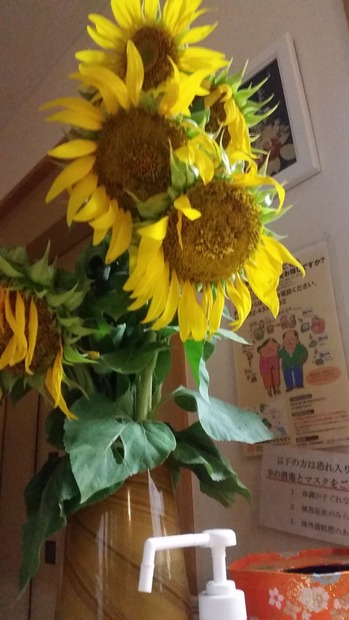 20170823_002207