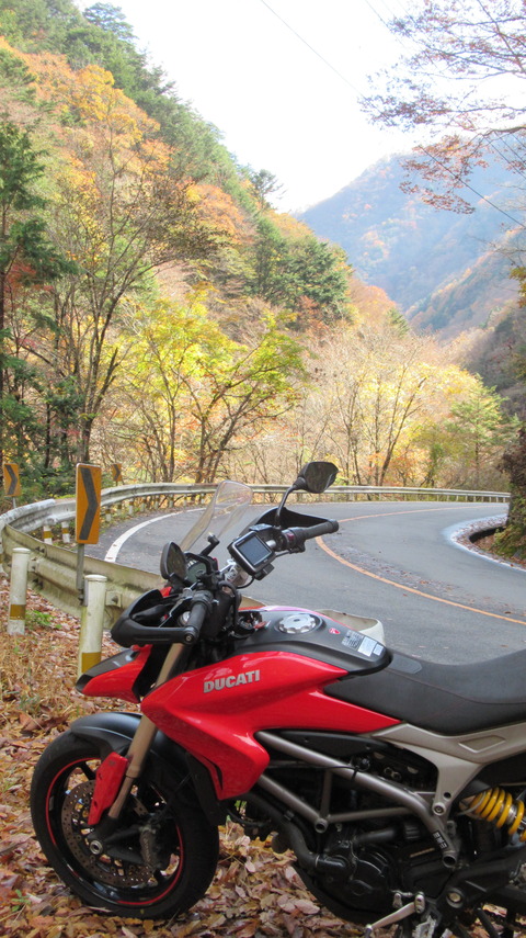 20181114 07丹波渓谷