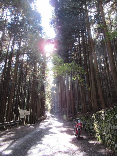 20181114 09小菅川