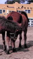 20100320131920