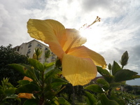 P1060020