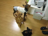 2006.08.30-1
