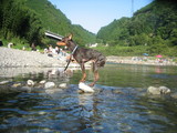 2006.08.14-10