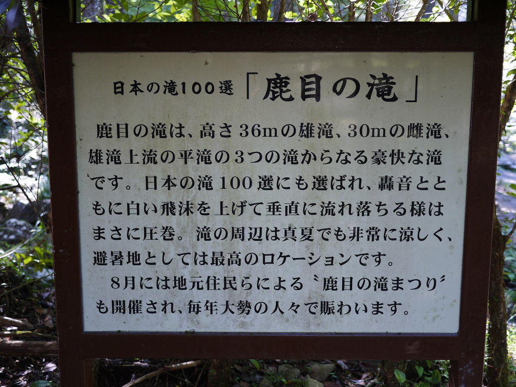 P1030719