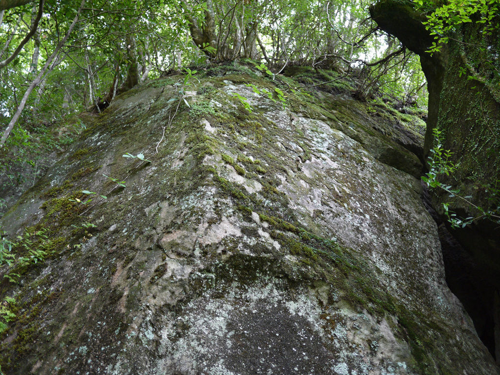 P1030098