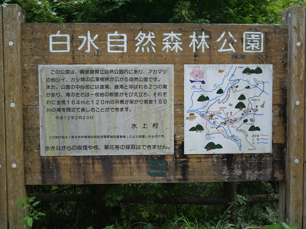P1030059