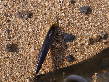 R0011390