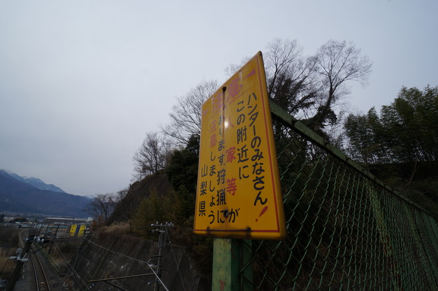 DSC08522