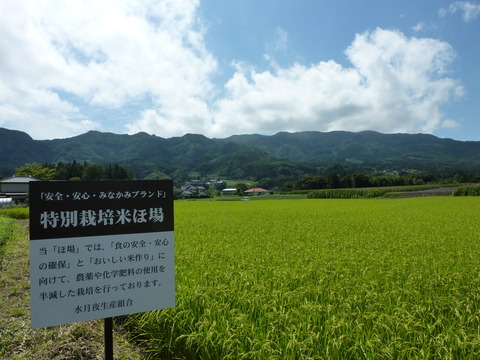 aramaki