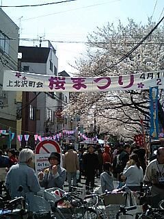 2006sakuramaturi13.jpg
