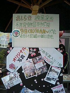 2006sakuramaturi10.jpg