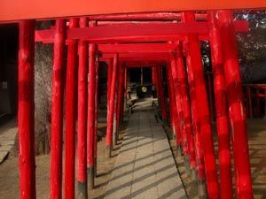 torii001.jpg