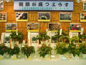 DSCF2128.JPG