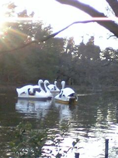 DVC10137_Mhakucho.jpg