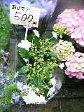08-05-02_04-14.jpg
