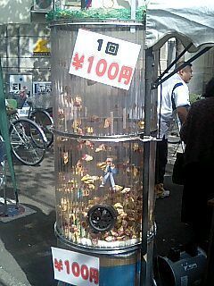 2006sakuramaturi81.jpg